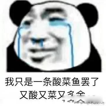 许可馨事件最新消息 事件迎来大结局