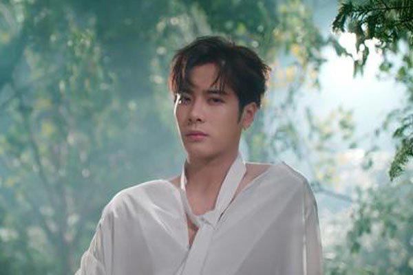 王嘉尔被送锦旗 粉丝感谢王嘉尔激烈了她的人生