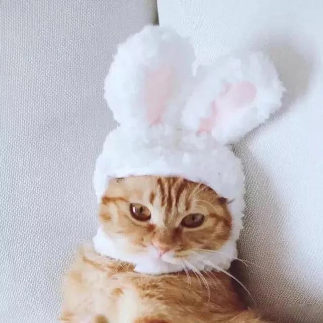 为什么现在年轻人都低欲望 无非有以下几种原因