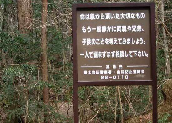 日本青木原森林的灵异事件 为什么会吸引人自杀