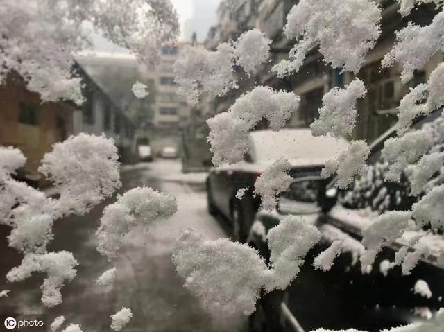 冬至暖和有什么说法 今年的冬至会不会很冷呢
