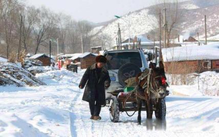 冬至暖和有什么说法 今年的冬至会不会很冷呢