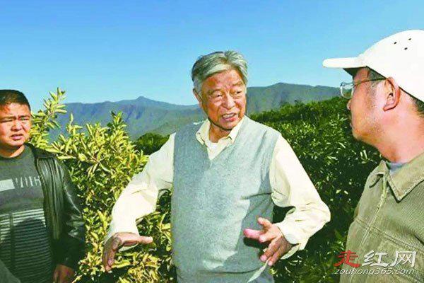 褚时健的传奇人生简介 贪污被抓捕进去了