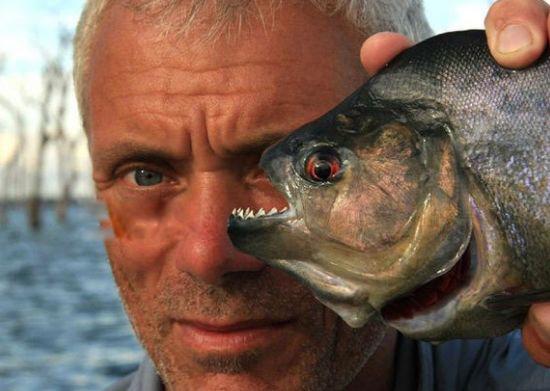 杰里米·维德钓鱼节目叫什么 钓过的鱼有哪些