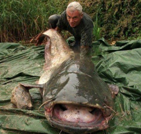 杰里米·维德钓鱼节目叫什么 钓过的鱼有哪些