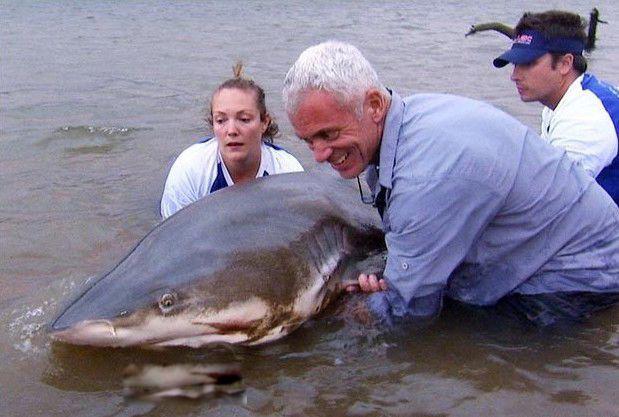 杰里米·维德钓鱼节目叫什么 钓过的鱼有哪些