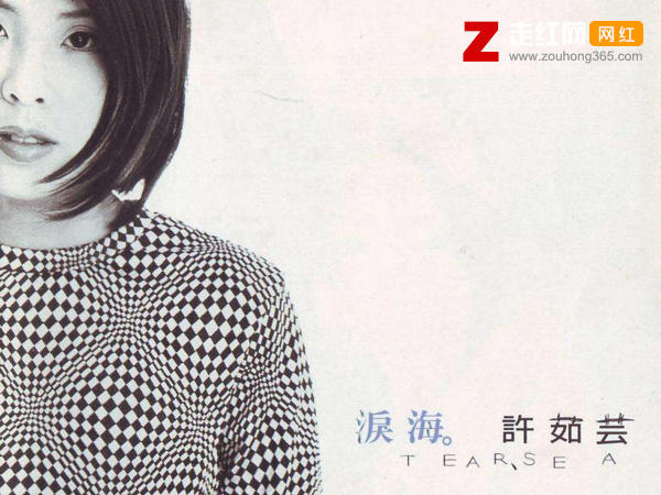 你怎么舍得让我的爱流向海是什么歌，泪海歌曲介绍