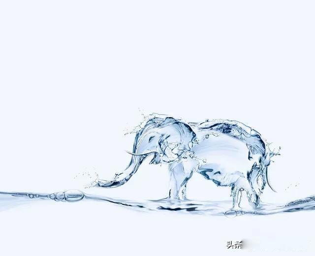 战争时应该准备哪些物资 打仗前要做什么准备