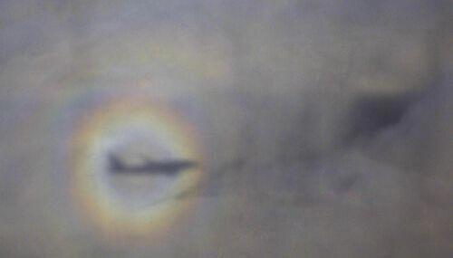 亚里士多德错觉实验 理论依据以及案例有哪些