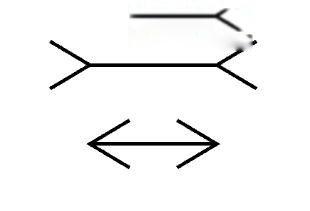亚里士多德错觉实验 理论依据以及案例有哪些