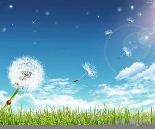 郑爽现在的情况怎么样 比范冰冰更为不堪还能复出吗