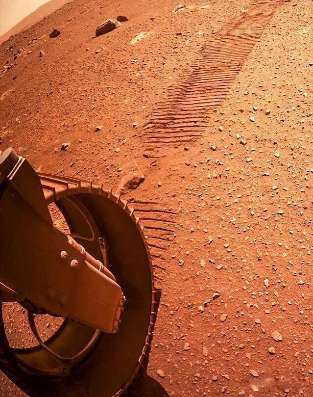 火星男孩五个预言 他已经消失10多年了