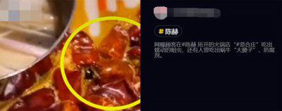 陈赫开的火锅店叫什么名字 火锅店回应卫生问题