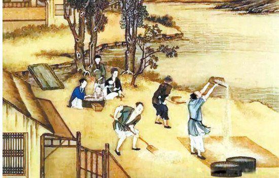 黍稷麦菽其中的菽是指的是什么类 菽是指哪类农作物读音