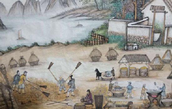 黍稷麦菽其中的菽是指的是什么类 菽是指哪类农作物读音