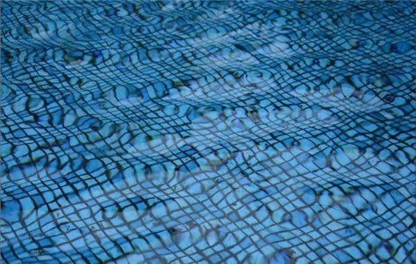 特别吓人的密集图片 头皮发麻的有密集物体恐惧症