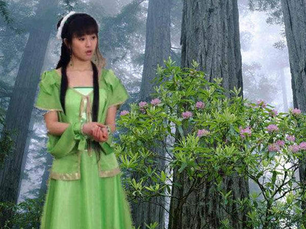 若不是你突然闯进我生活是什么歌，绿色歌曲介绍