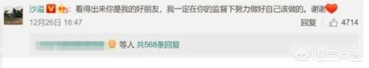 沙溢演过的电视剧 沙溢与胡可婚变是怎么回事