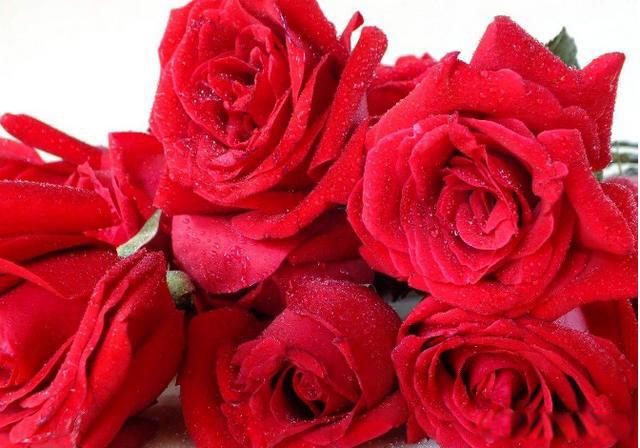 圣诞节送女友什么礼物最有意义 比较好的礼物推荐