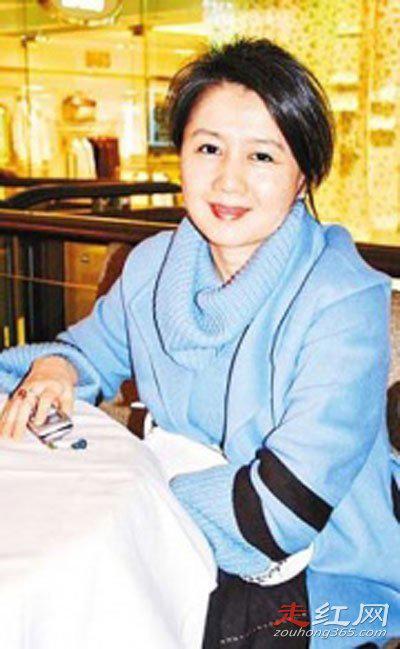 梁安琪怎么认识何鸿燊的 26岁梁安琪为何会看上64岁何鸿燊