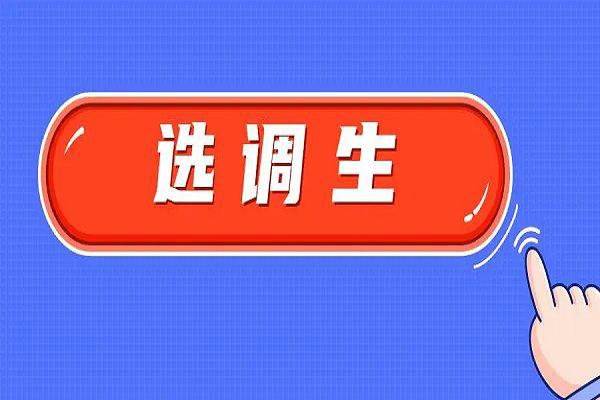 选调生是什么意思啊 报考条件和要求有哪些