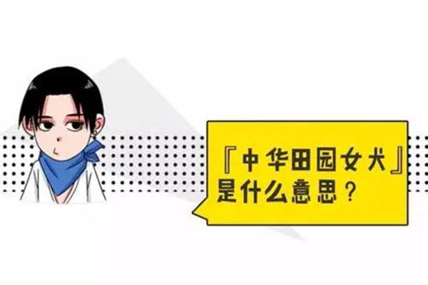田园女权经典语录集 最恶心的一句话听了身体发冷