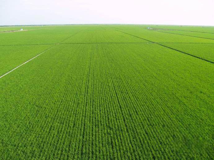 中国最大的平原地区是哪里 东北平原由哪三部分组成