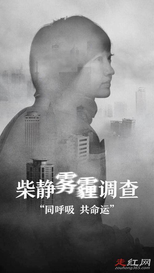 柴静穹顶之下为什么被禁播 央视离职为什么销声匿迹