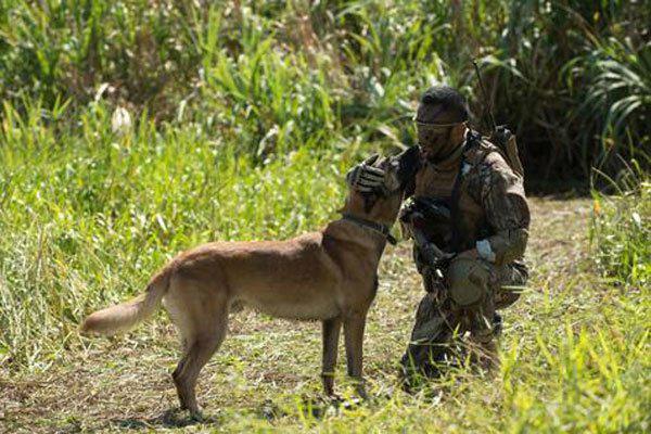 糯康注射全过程视频图片 大案惊人如梦初醒
