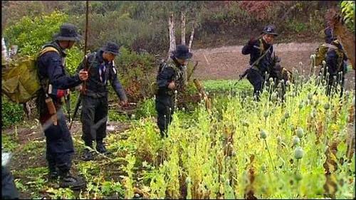 泰国人妖需要服兵役吗 分在男兵营还是女兵营