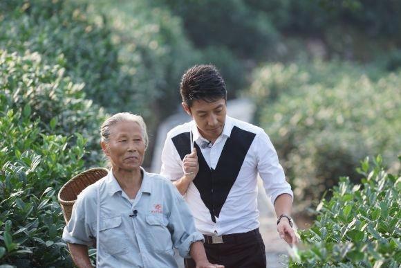 撒贝宁为什么被央视解雇了 确认撒贝宁至今未被央视开除