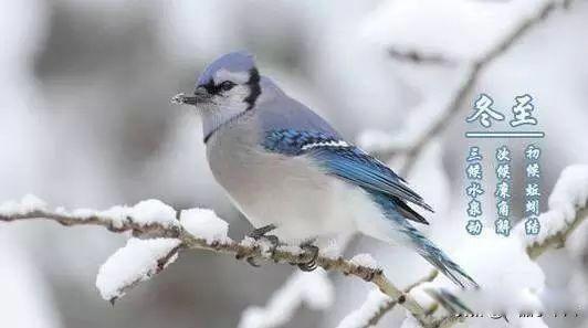 冬至暖和有什么说法 关于冬至的俗语有很多