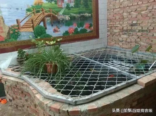 疫情过后必有大灾这是真的吗 老话说大疫之后有大灾