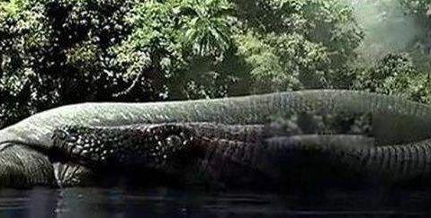 古杯蛇的相关资料 盘点三大远古巨蛇排行榜