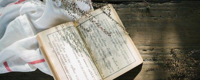 掌中之物小说的大结局 是什么意思