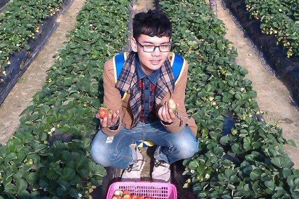 网红西红柿哥去哪里了 奇装异服怎么不见了