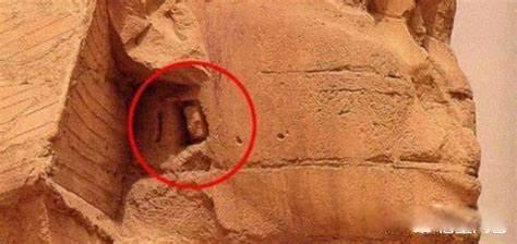 火星男孩五个预言 吸睛言论引热议