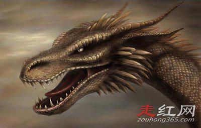 为什么国家要隐瞒龙 一度的被认为是假的东西