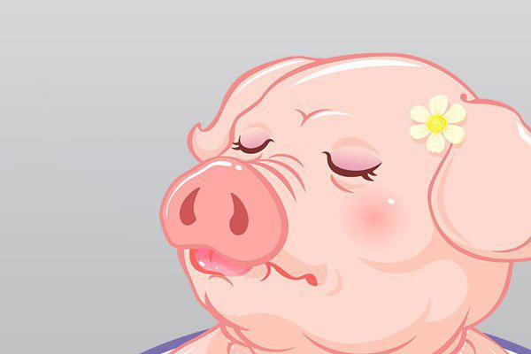 猪猪女孩是什么意思 形容那些看起来光鲜亮丽的女孩子