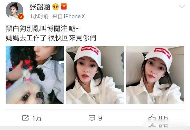 范玮琪人设为什么塌了 只是质疑又不是实锤