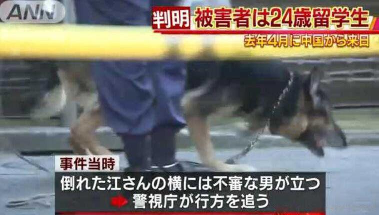 江歌案刘鑫做错了什么 防火防盗防无品的闺蜜