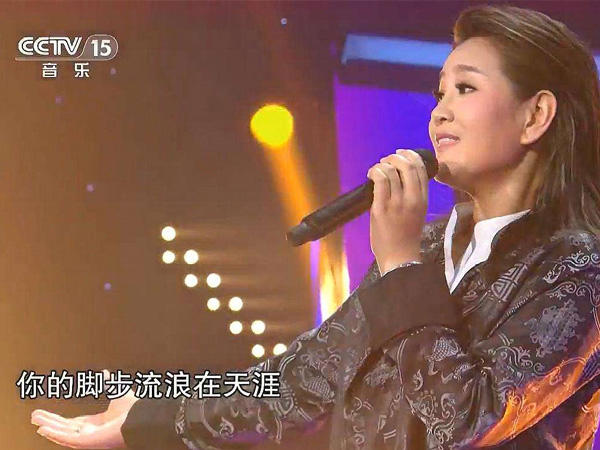 你的脚步流浪在天涯是什么歌，走天涯歌曲介绍