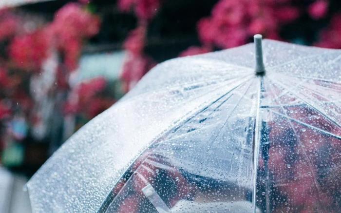 周星驰和张柏芝结婚是不是真的 张柏芝的三胎不是周星驰的