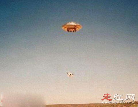 外星人屠牛事件是真的吗 屠夫杀牛时候的手艺精妙