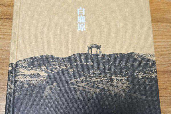 白鹿原小说比较污原文 男女之间的阶级变化