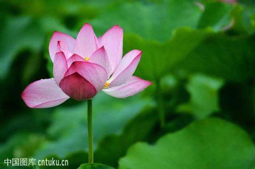 好看的皮囊千篇一律,有趣的灵魂万里挑一是什么意思