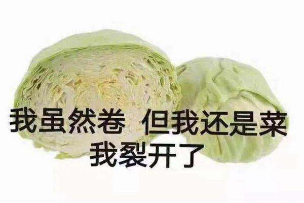 梗是什么意思 卷心菜是什么梗通俗易懂含义