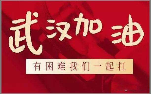 官方对方方日记的态度 方方来自武汉的一个媒体人