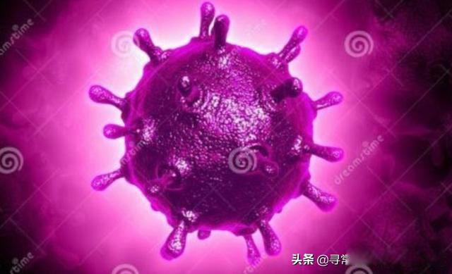 这次疫情的主要来源是哪里 源头其实就是一个迷