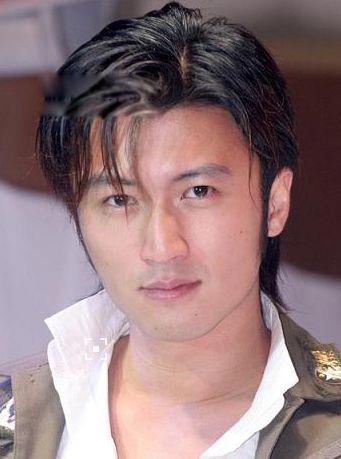 中国最帅的男明星前十名 吴彦祖的颜值居然排第一